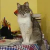 Отзыв от Мария Вешнякова
